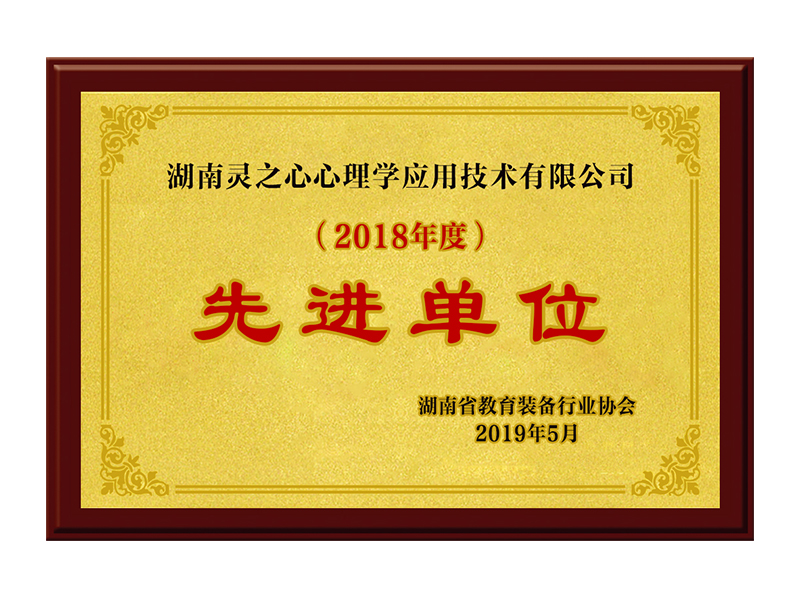 湖南省教育装备行业协会2018年度